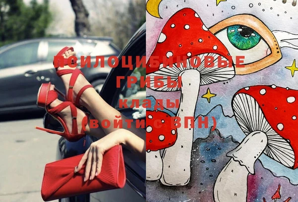 гашик Лабытнанги