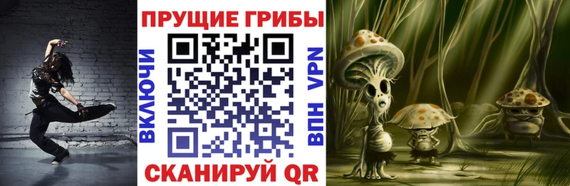 hydra зеркало  Родники  Галлюциногенные грибы Psilocybine cubensis 
